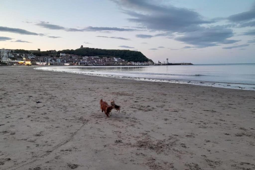 Edie's Hideaway Holiday home Scarborough